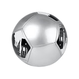 BALÓN PUMA BIG CAT #5 8421403 SINTÉTICO PLATA