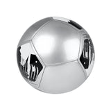 BALÓN PUMA BIG CAT #5 8421403 SINTÉTICO PLATA