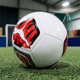 BALON PUMA BIG CAT BALL #5 8494801 SINTÉTICO BLANCO