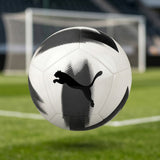 BALÓN PUMA CAGE BALL N°5 8434603 SINTÉTICO BLANCO