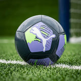 BALÓN PUMA BIG CAT BALL N° 5 8421414 SINTÉTICO GRIS