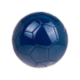 BALÓN REEBOK DEPORTIVO BA01021405 SINTÉTICO AZUL