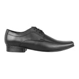 Stylo Zapatos Caballero Choclos Agujeta 711 Piel Negro